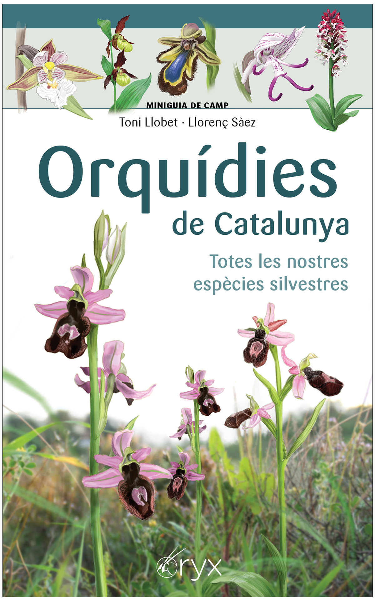 ORQUÍDIES DE CATALUNYA. TOTES LES NOSTRES ESPÈCIES SILVESTRES. MINIGUIA DE CAMP 1
