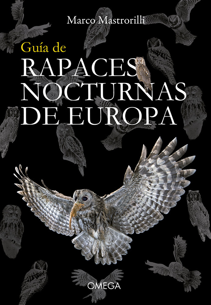 GUÍA DE RAPACES NOCTURNAS DE EUROPA 1