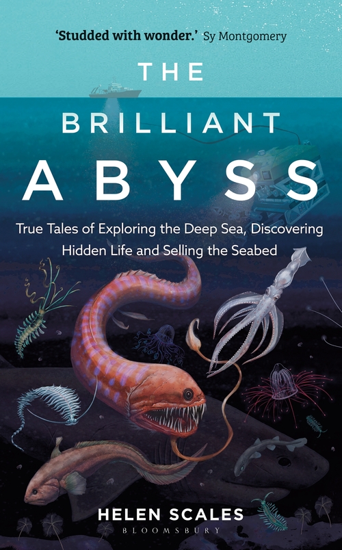 THE BRILLANT ABYSS