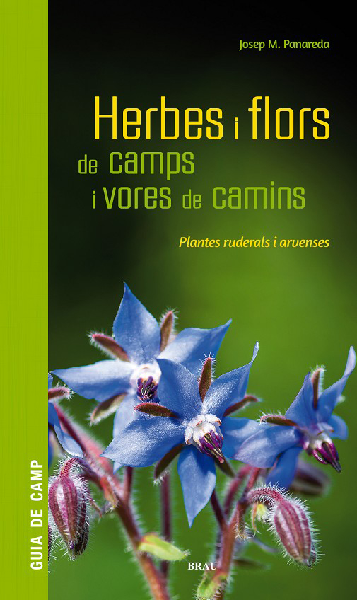 HERBES I FLORS DE CAMPS I VORES DE CAMINS. PLANTES RUDERALS I ARVENSES 1
