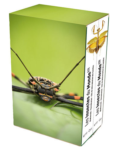 LES INSECTES DU MONDE. BIODIVERSITÉ, CLASSIFICATION, CLÉS DE DETÉRMINATION DES FAMILLES 1