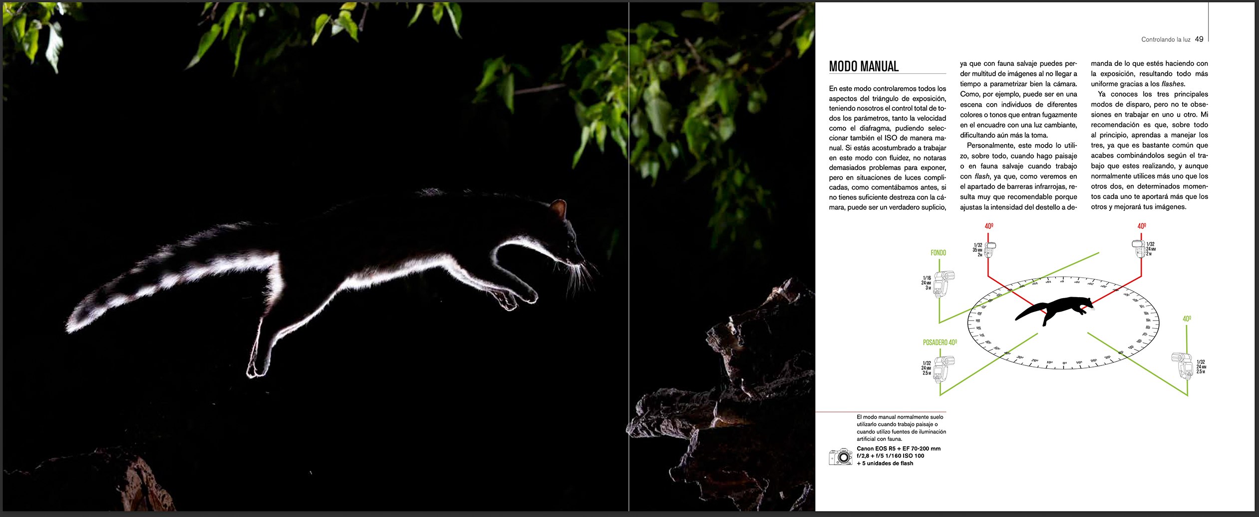 EL FOTÓGRAFO DE FAUNA 2