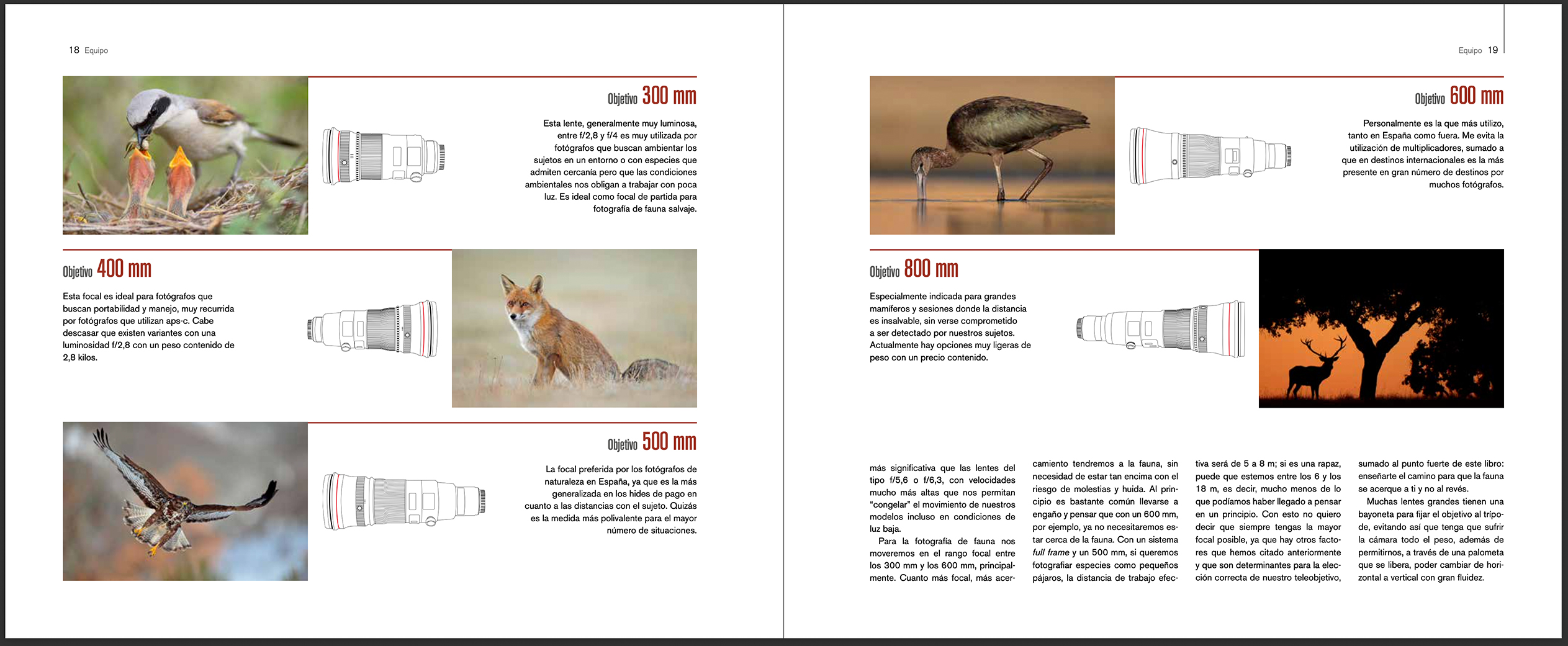 EL FOTÓGRAFO DE FAUNA 4