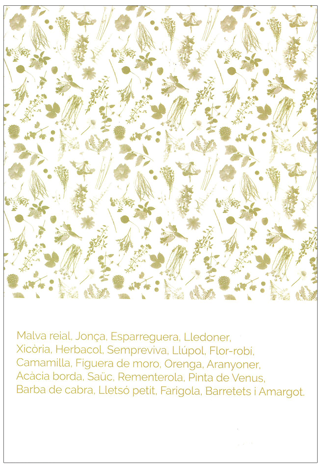 EL LLIBRE DE LES PLANTES SILVESTRES COMESTIBLES 3 2