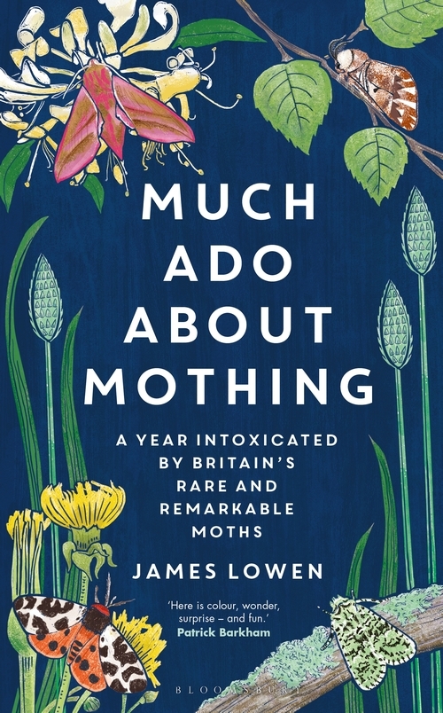 MUCH ADO ABOUT MOTHING:  A YEAR INTOXICATED BY BRITAIN'S RARE AND REMARKABLE MOTHS