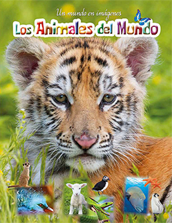 LOS ANIMALES DEL MUNDO. UN MUNDO EN IMÁGENES 1