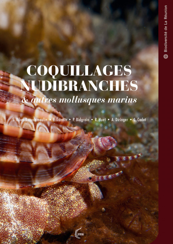COQUILLAGES NUDIBRANCHES & AUTRES MOLLUSQUES MARINS