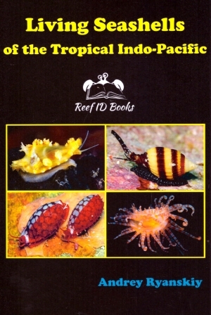 LIVING SEASHELLS OF THE TROPICAL INDO-PACIFIC. REEF ID BOOKS