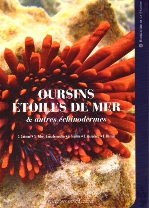 OURSINS, ÉTOILES DE MER & AUTRES ÉCHINODERMES