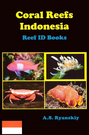 CORAL REEFS INDONESIA. REEF ID BOOKS