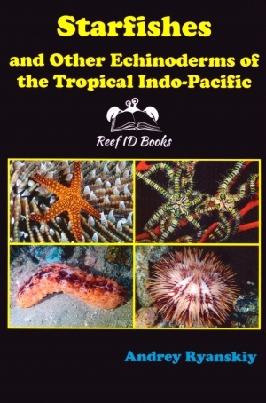 STARFISHES AND OTHER ECHINODERMS OF THE TROPICAL INDO-PACIFIC.  REEF ID BOOKS