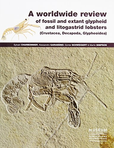 A WORLDWIDE REVIEW OF FOSSIL AND EXTANT GLYPHEID AND LITOGASTRID LOBSTERS (CRUSTACEA, DECAPODA, GLYPHEOIDEA)
