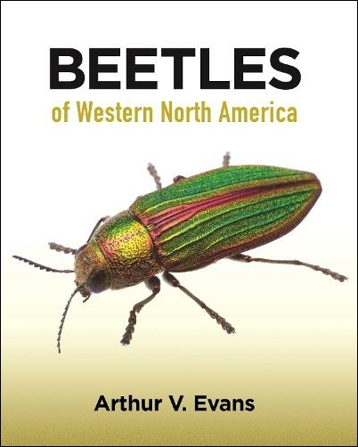 BEETLES OF WESTERN NORTH AMERICA