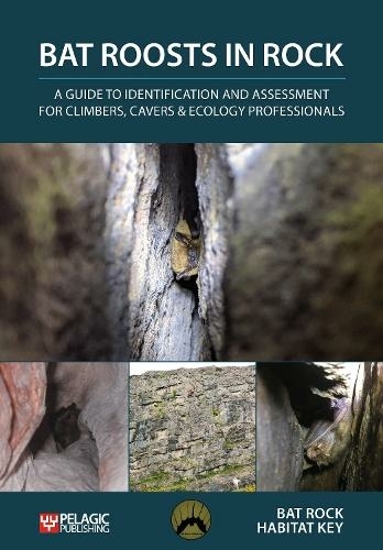 BAT ROOSTS IN ROCK