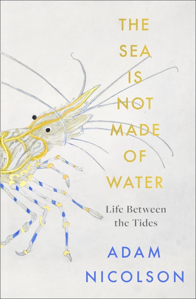 THE SEA IS NOT MADE OF WATER 1