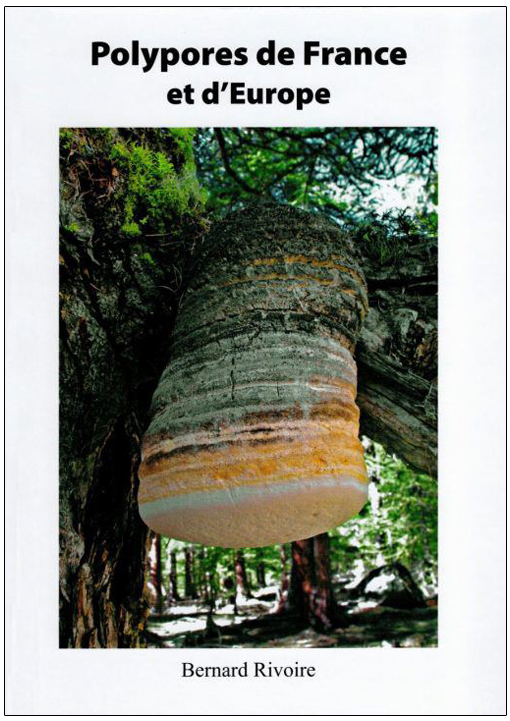 POLYPORES DE FRANCE ET D'EUROPE 1