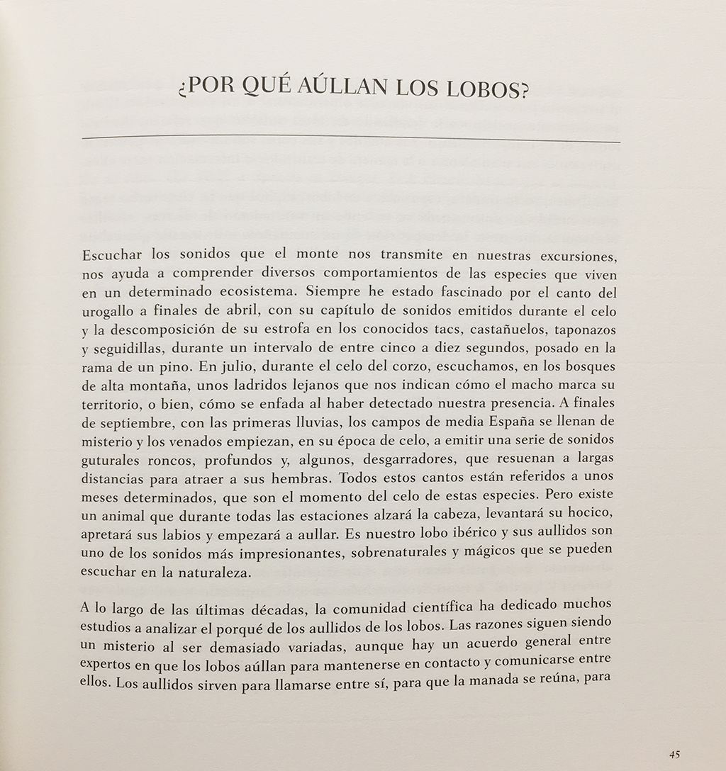 EN TIERRA DE LOBOS 3