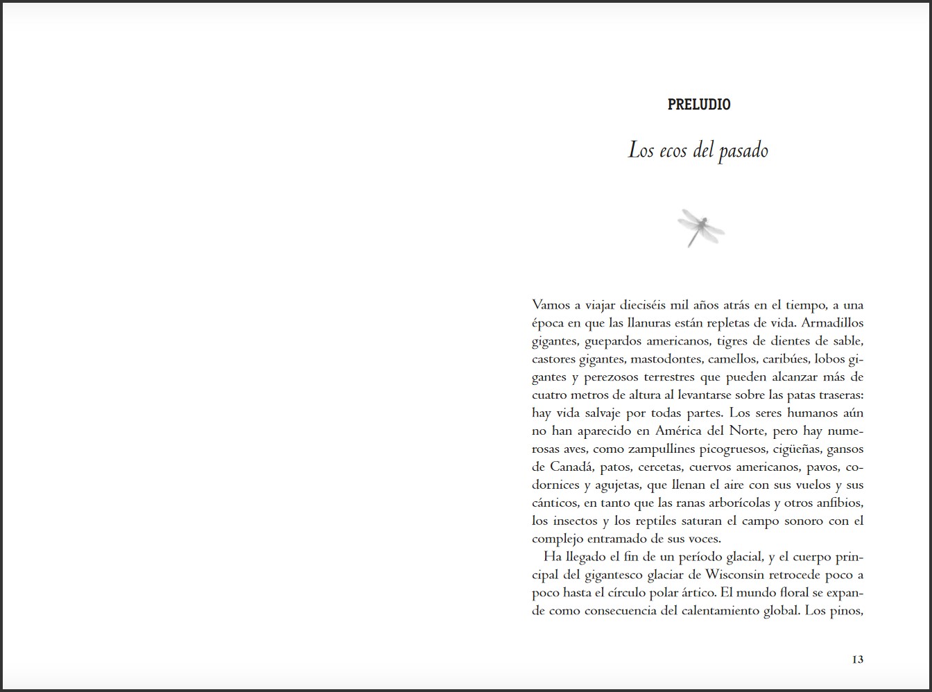 LA GRAN ORQUESTA ANIMAL 2