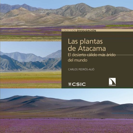 LAS PLANTAS DE ATACAMA: EL DESIERTO CÁLIDO MÁS ÁRIDO DEL MUNDO 1