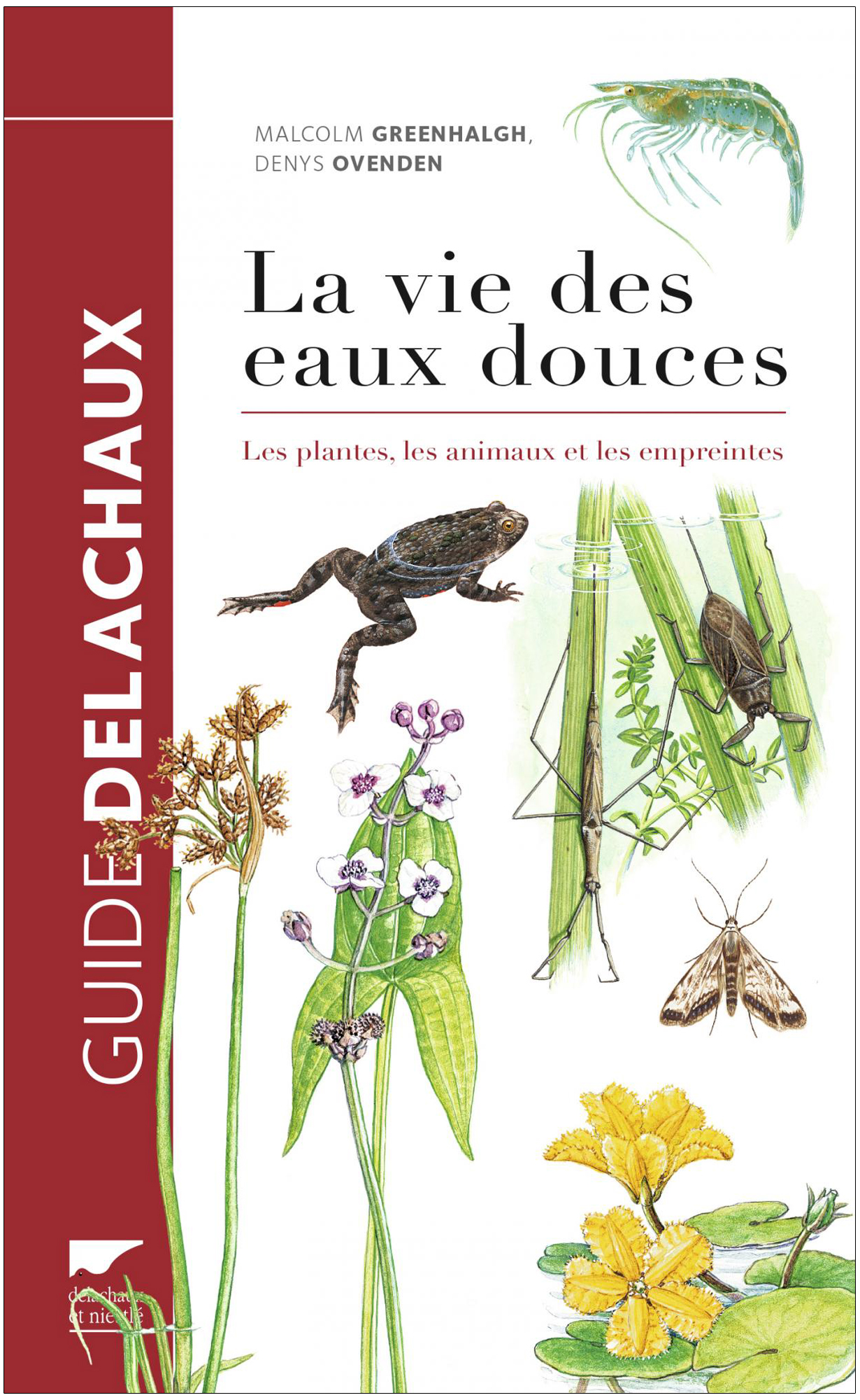 LA VIE DES EAUX DOUCES. LES PLANTES, LES ANIMAUX ET LES EMPREINTES 1