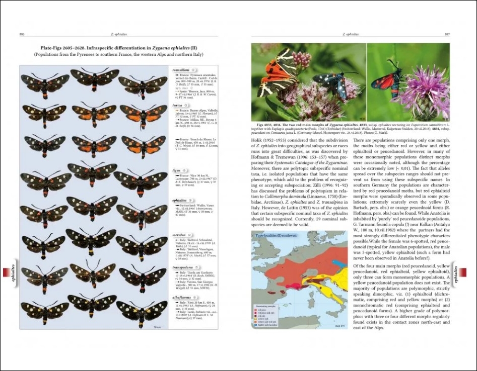 NATURAL HISTORY OF BURNET MOTHS (ZYGAENA FABRICIUS, 1775) (LEPIDOPTERA: ZYGAENIDAE) PART 3 (2-VOLUME SET) 3