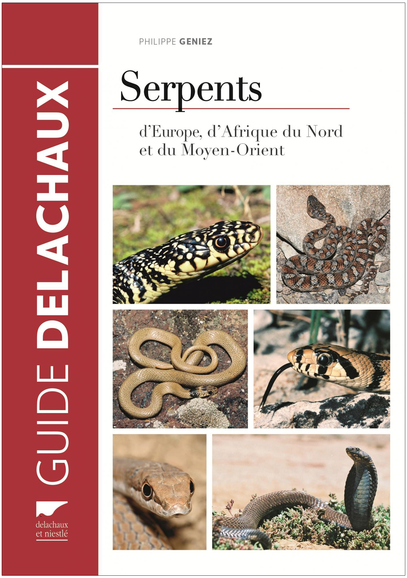 SERPENTS D'EUROPE, D'AFRIQUE DU NORD ET DU MOYEN-ORIENT 1