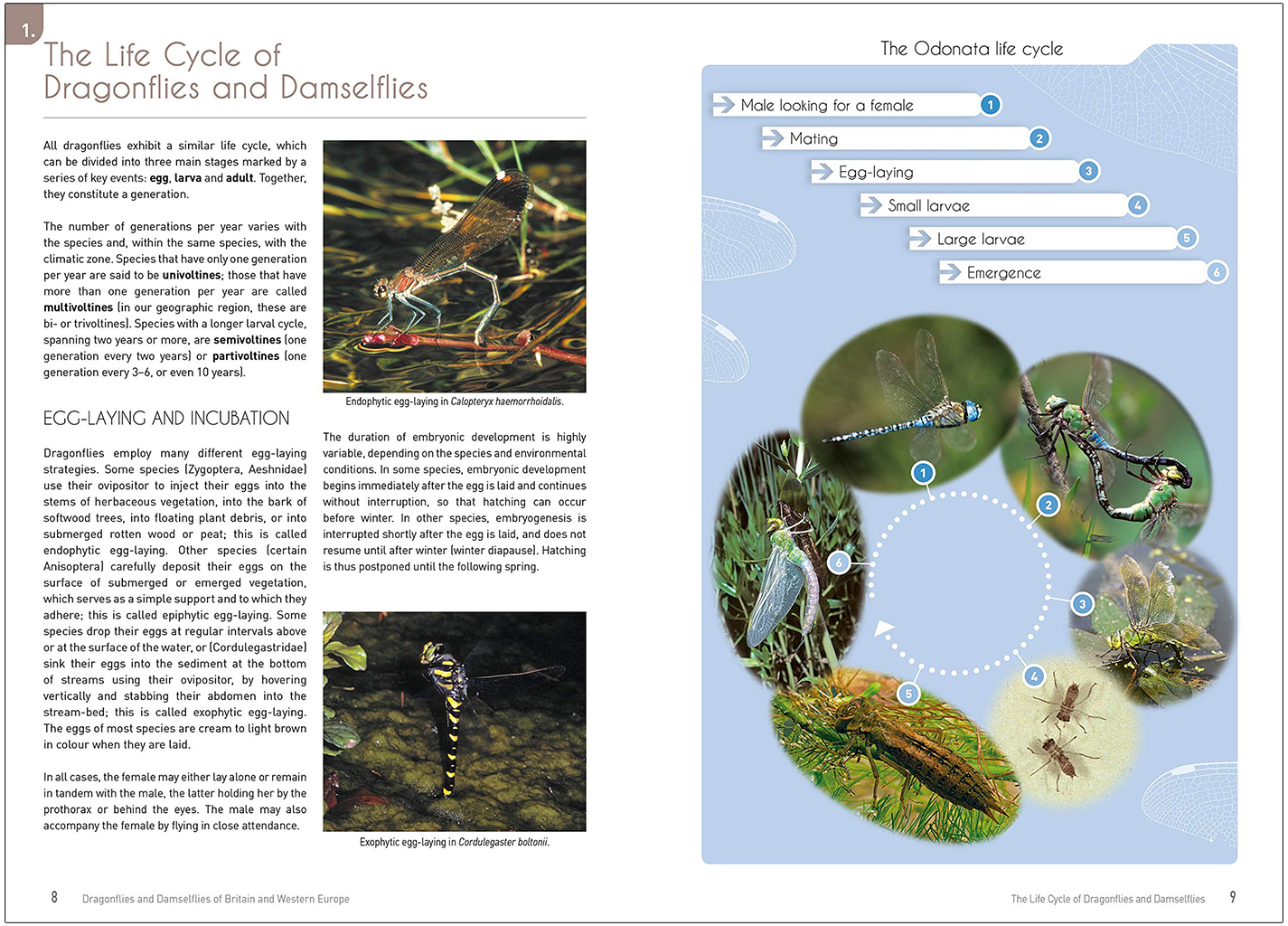 DRAGONFLIES AND DAMSELFLIES OF BRITAIN AND WESTERN EUROPE. A PHOTOGRAPHIC GUIDE 2