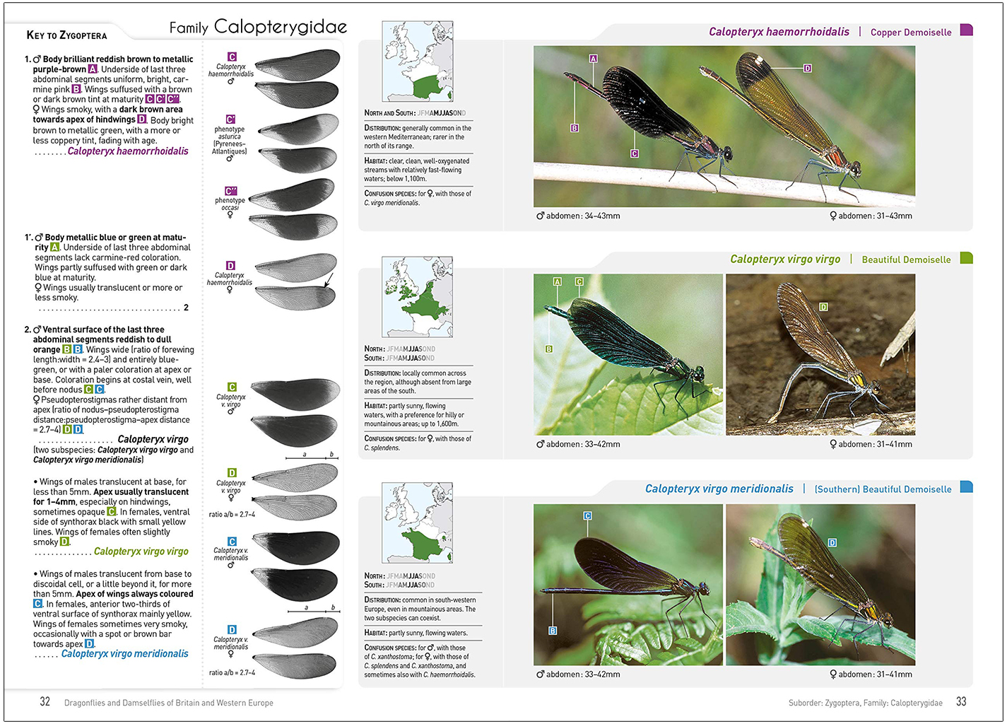 DRAGONFLIES AND DAMSELFLIES OF BRITAIN AND WESTERN EUROPE. A PHOTOGRAPHIC GUIDE 4
