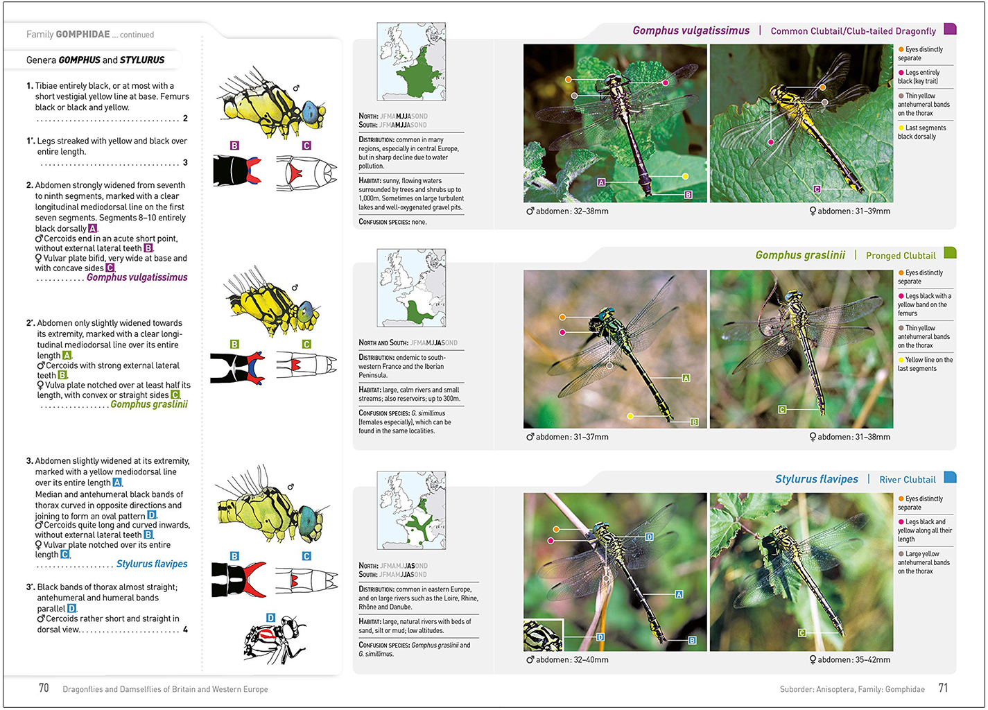 DRAGONFLIES AND DAMSELFLIES OF BRITAIN AND WESTERN EUROPE. A PHOTOGRAPHIC GUIDE 5