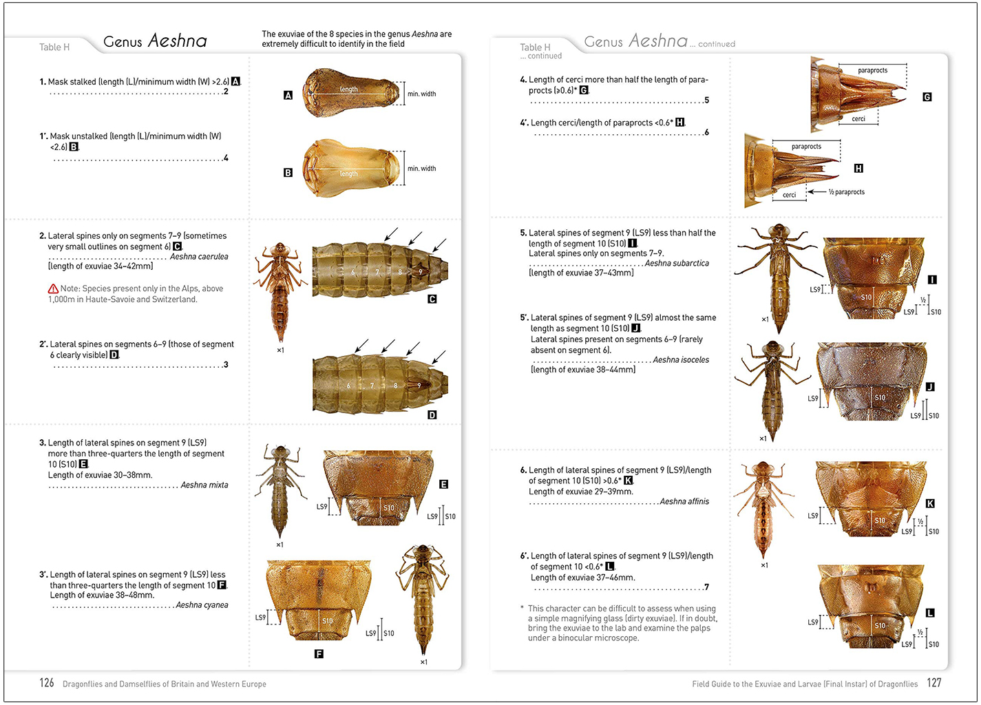 DRAGONFLIES AND DAMSELFLIES OF BRITAIN AND WESTERN EUROPE. A PHOTOGRAPHIC GUIDE 6