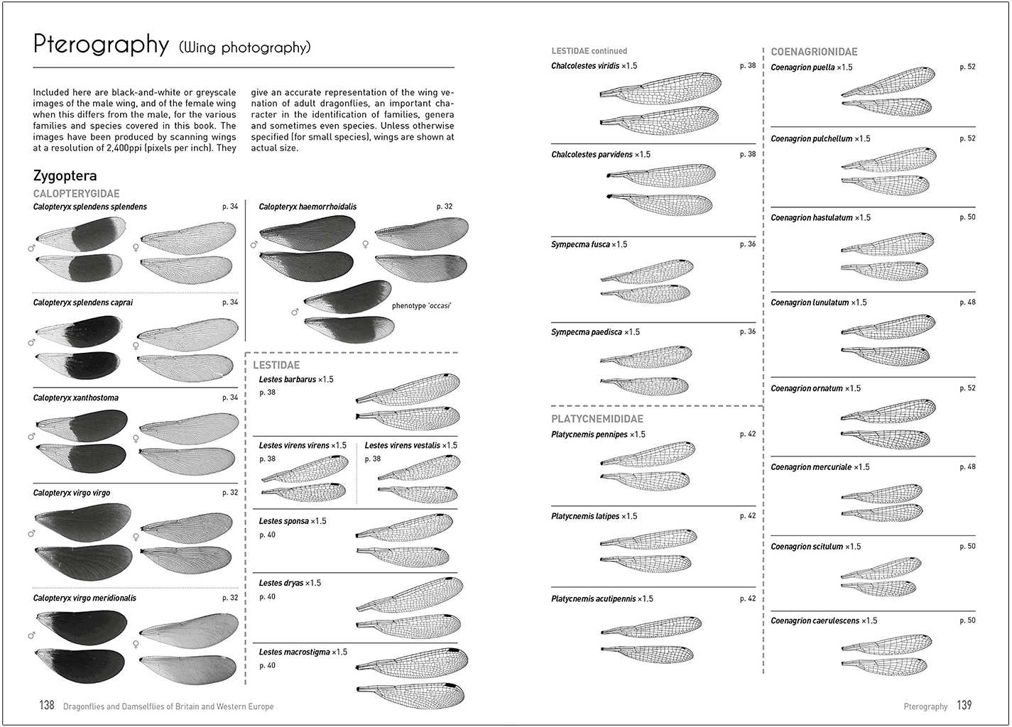 DRAGONFLIES AND DAMSELFLIES OF BRITAIN AND WESTERN EUROPE. A PHOTOGRAPHIC GUIDE 7