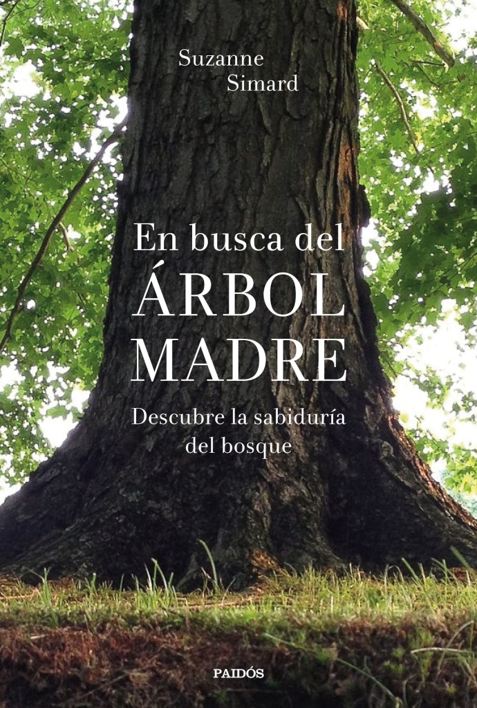 EN BUSCA DEL ÁRBOL MADRE 1