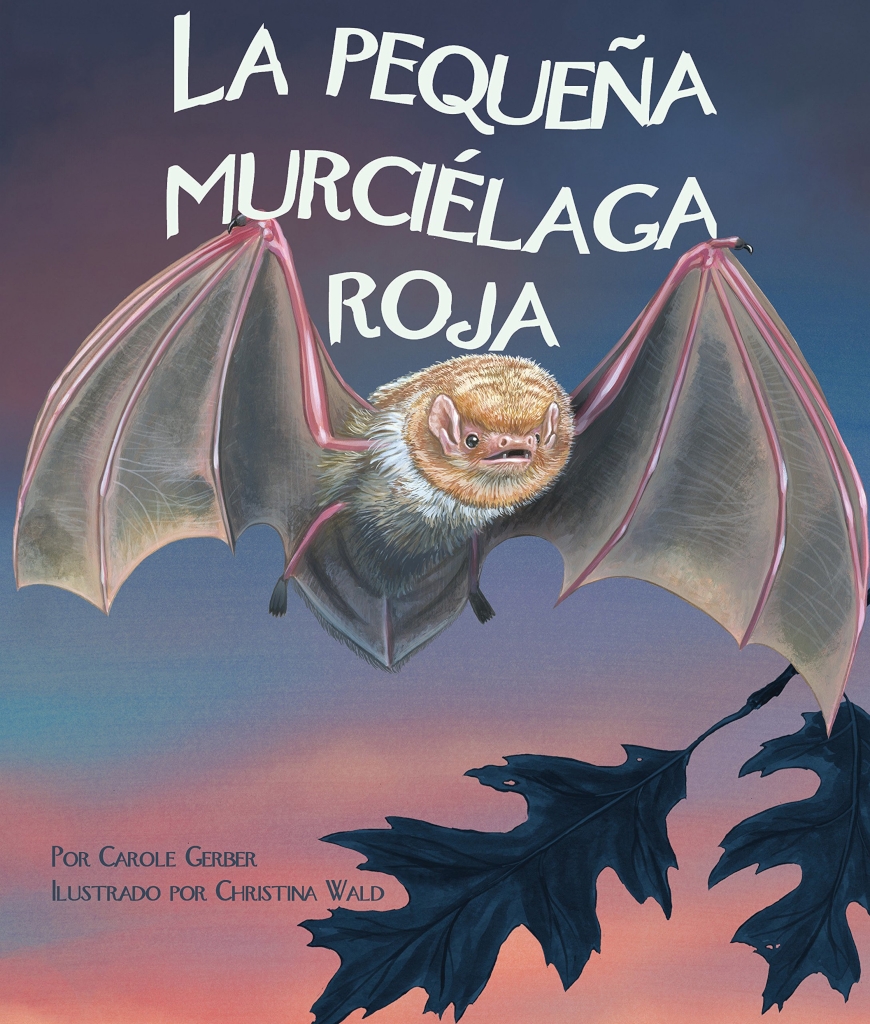 LA PEQUEÑA MURCIÉLAGA ROJA 1