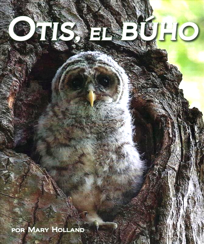 OTIS, EL BÚHO 1