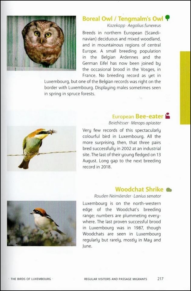 THE BIRDS OF LUXEMBOURG 2