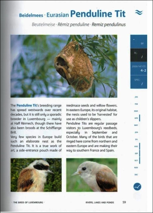 THE BIRDS OF LUXEMBOURG 3