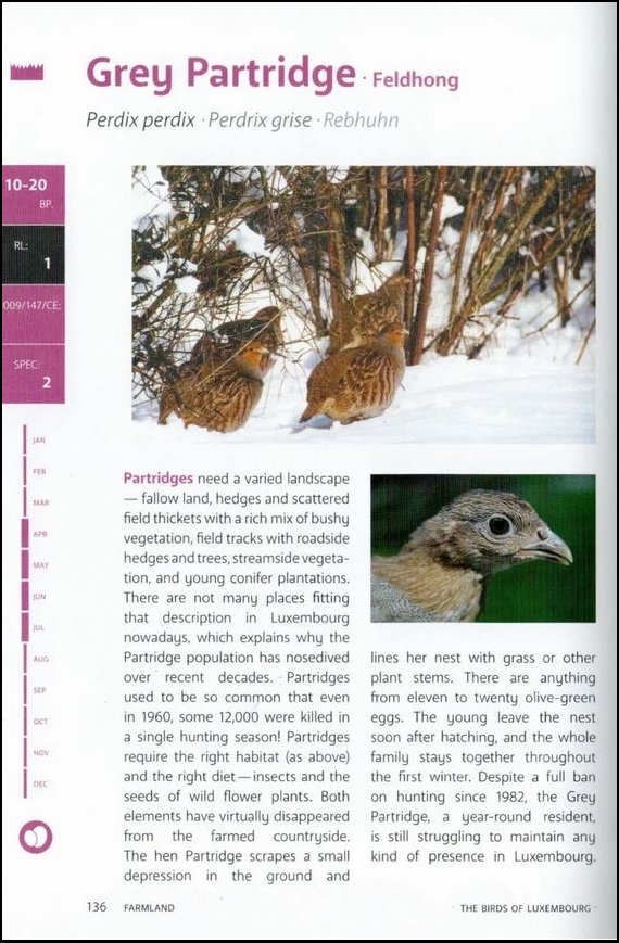 THE BIRDS OF LUXEMBOURG 4