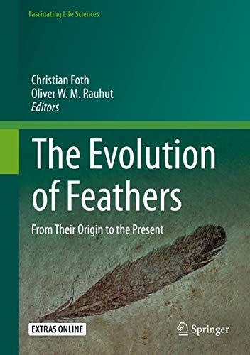 THE EVOLUTION OF FEATHERS 1
