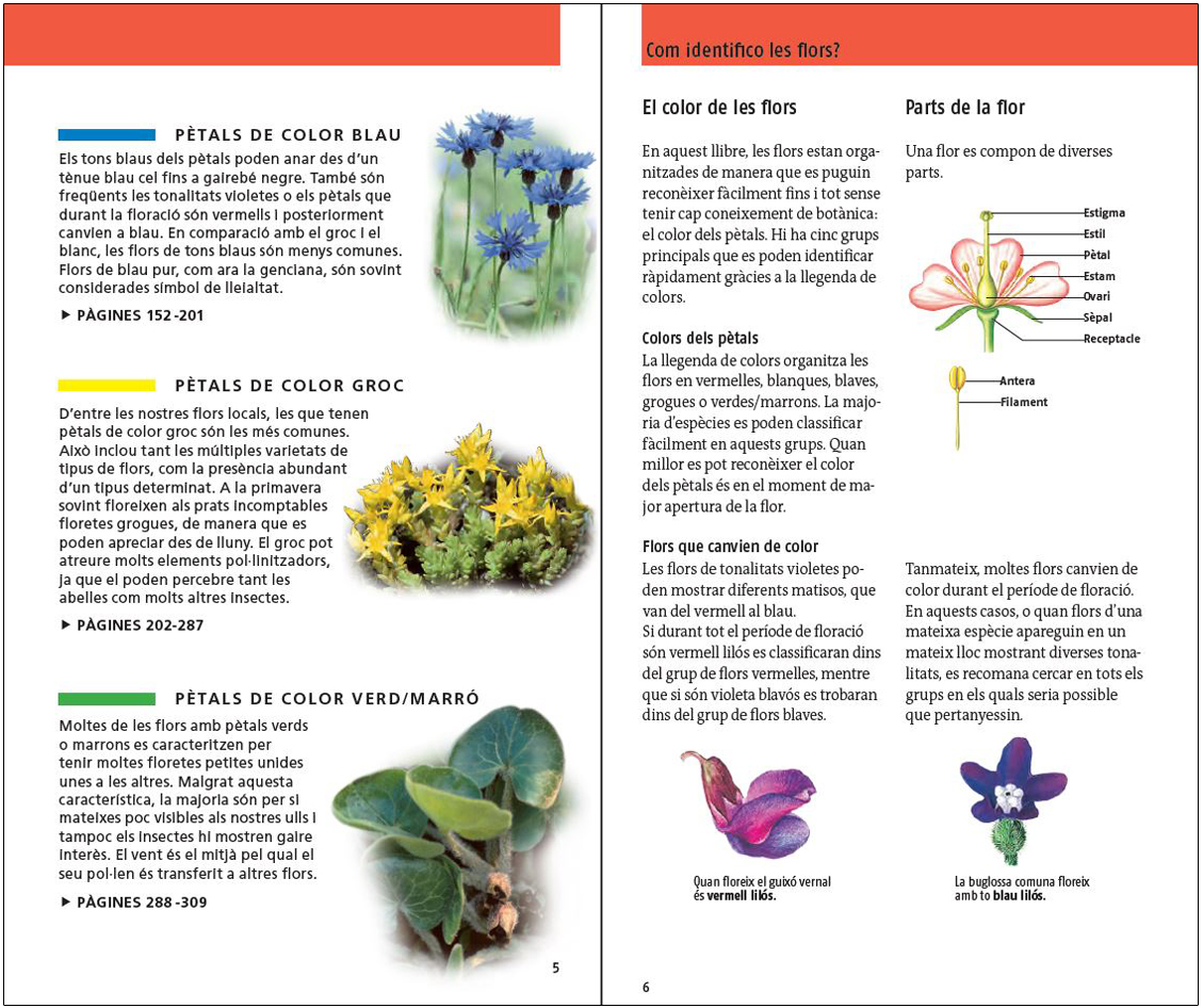 FLORS. 450 ESPÈCIES D'EUROPA 3