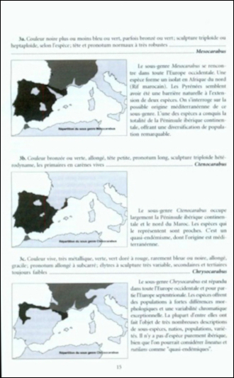 FAUNE DES CARABUS DE LA PÉNINSULE IBÉRIQUE 3
