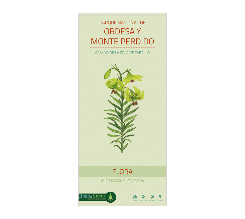 PARQUE NACIONAL DE ORDESA Y MONTE PERDIDO. CAMINO DE LA COLA DE CABALLO. FLORA. GUÍAS DE CONSULTA RÁPIDA 1