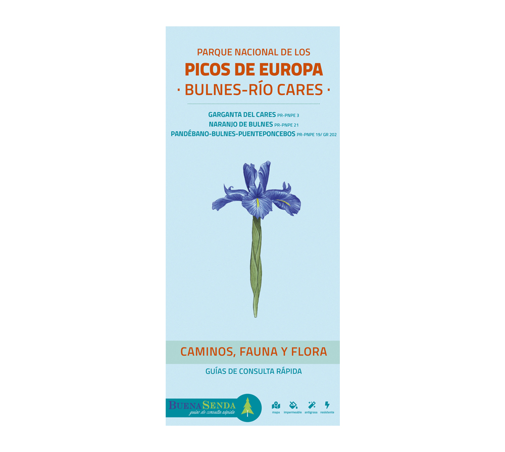 PARQUE NACIONAL DE LOS PICOS DE EUROPA. BULNES-RÍO CARES. CAMINOS, FAUNA Y FLORA. GUÍAS DE CONSULTA RÁPIDA 1