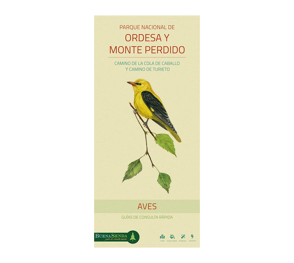 PARQUE NACIONAL DE ORDESA Y MONTE PERDIDO. CAMINO DE LA COLA DE CABALLO Y CAMINO DE TURIETO. AVES. GUÍAS DE CONSULTA RÁPIDA 1