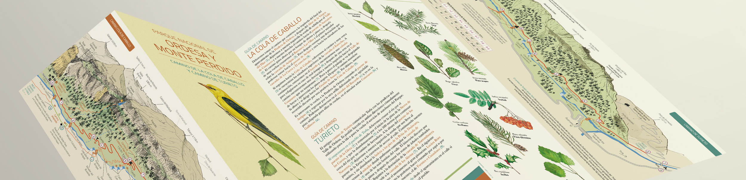 PARQUE NACIONAL DE ORDESA Y MONTE PERDIDO. CAMINO DE LA COLA DE CABALLO Y CAMINO DE TURIETO. AVES. GUÍAS DE CONSULTA RÁPIDA 2