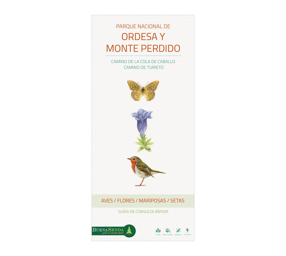 PARQUE NACIONAL DE ORDESA Y MONTE PERDIDO. CAMINO DE LA COLA DE CABALLO Y CAMINO DE TURIETO. AVES, FLORES, MARIPOSAS Y SETAS. GUÍAS DE CONSULTA RÁPIDA 1
