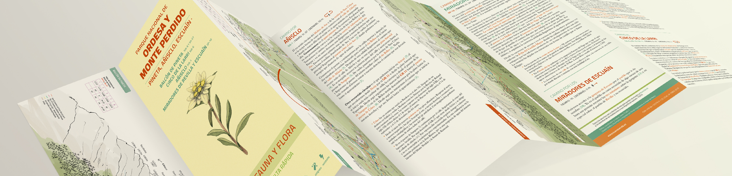 PARQUE NACIONAL DE ORDESA Y MONTE PERDIDO. PINETA, AÑISCLO Y ESCUAÍN. CAMINOS, FAUNA Y FLORA. GUÍAS DE CONSULTA RÁPIDA 2