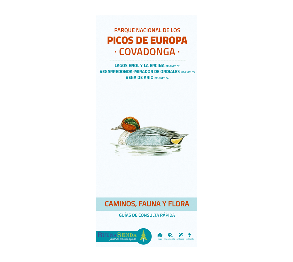 PARQUE NACIONAL DE LOS PICOS DE EUROPA. COVADONGA. CAMINOS, FAUNA Y FLORA. GUÍAS DE CONSULTA RÁPIDA 1