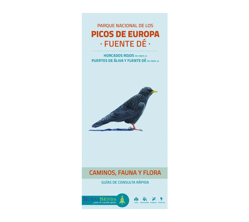 PARQUE NACIONAL DE LOS PICOS DE EUROPA. FUENTE DÉ. CAMINOS, FAUNA Y FLORA. GUÍAS DE CONSULTA RÁPIDA 1