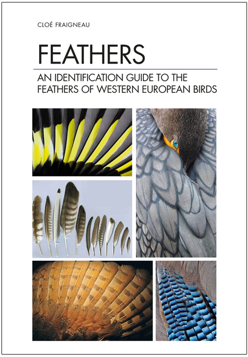 FEATHERS. AN IDENTIFICATION GUIDE TO THE FEATHERS OF WESTERN BIRDS 1