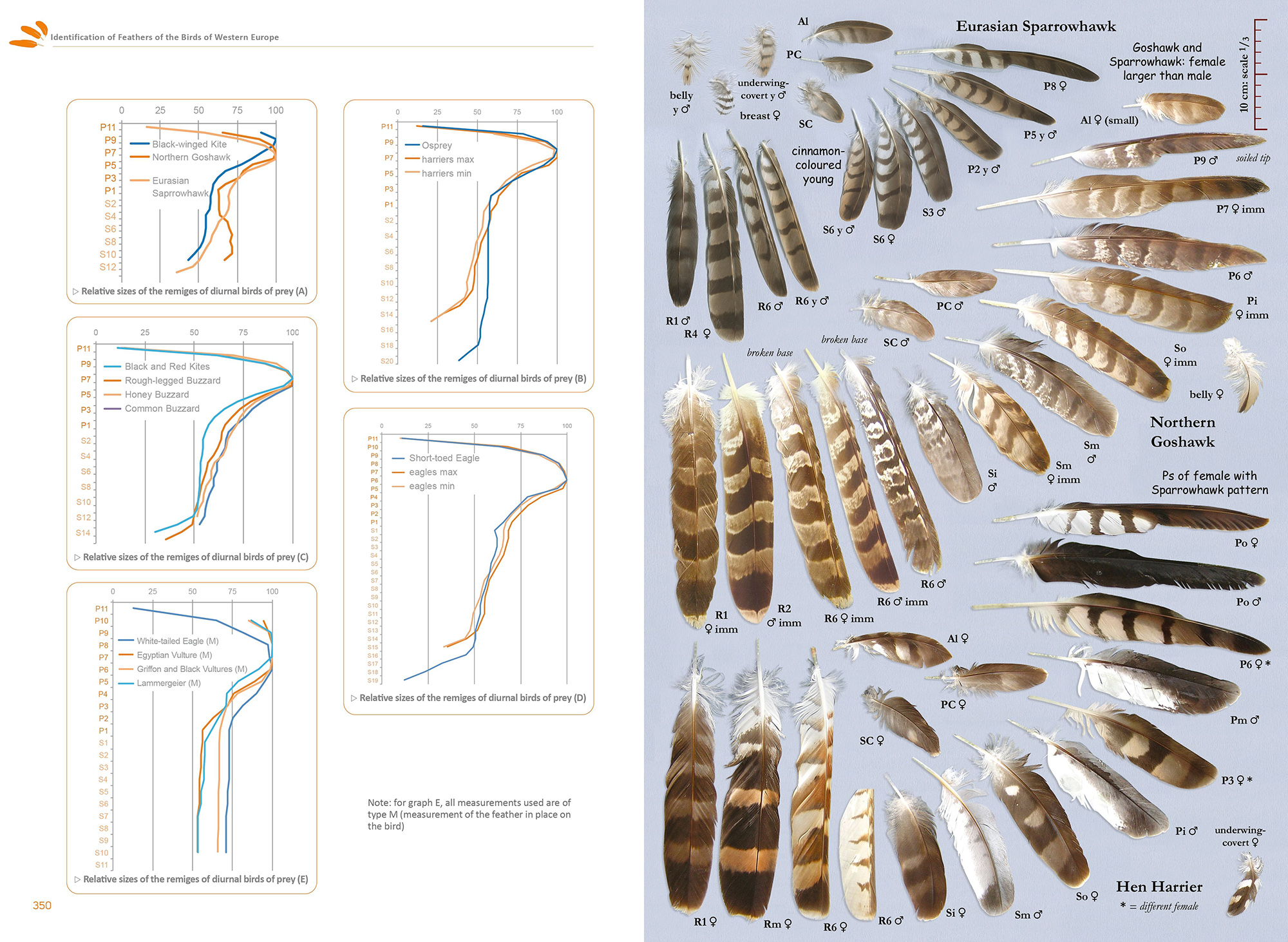 FEATHERS. AN IDENTIFICATION GUIDE TO THE FEATHERS OF WESTERN BIRDS 7